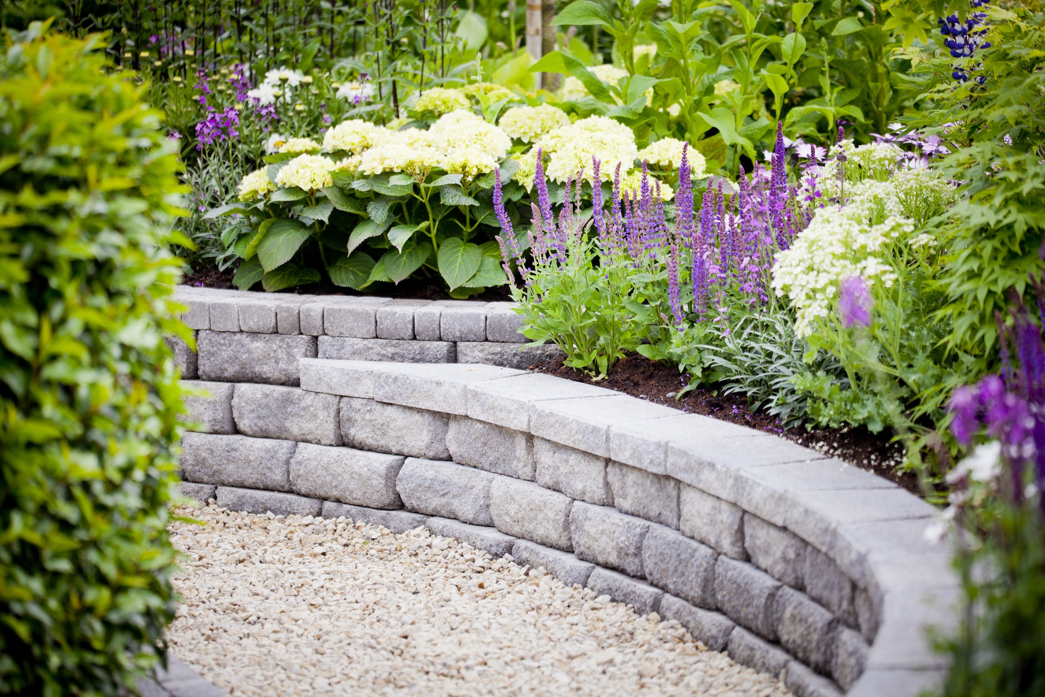 The image portrays a neatly landscaped garden with flowering hydrangeas, purple salvia, and lush greenery, surrounded by a curved stone retaining wall and a gravel path.