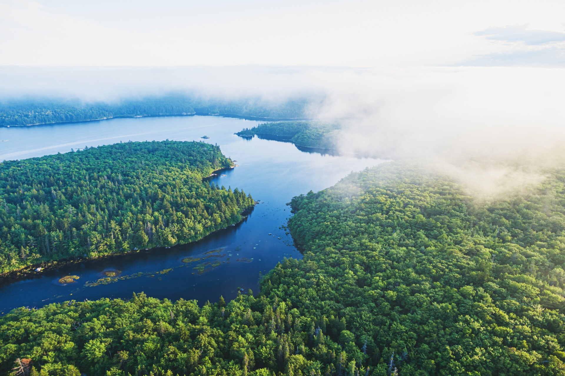 Inbound Fog Bank