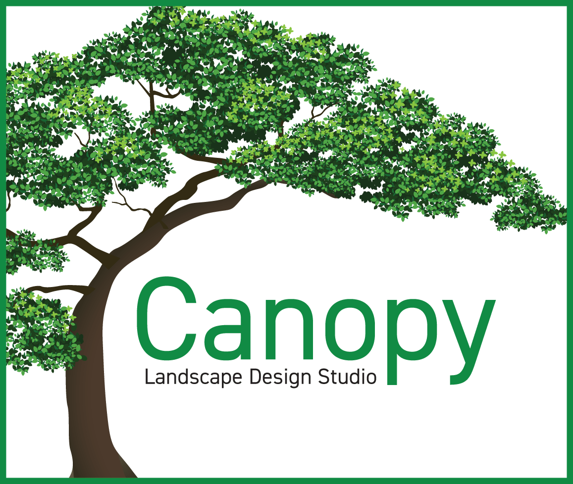 CANOPY_LOGO