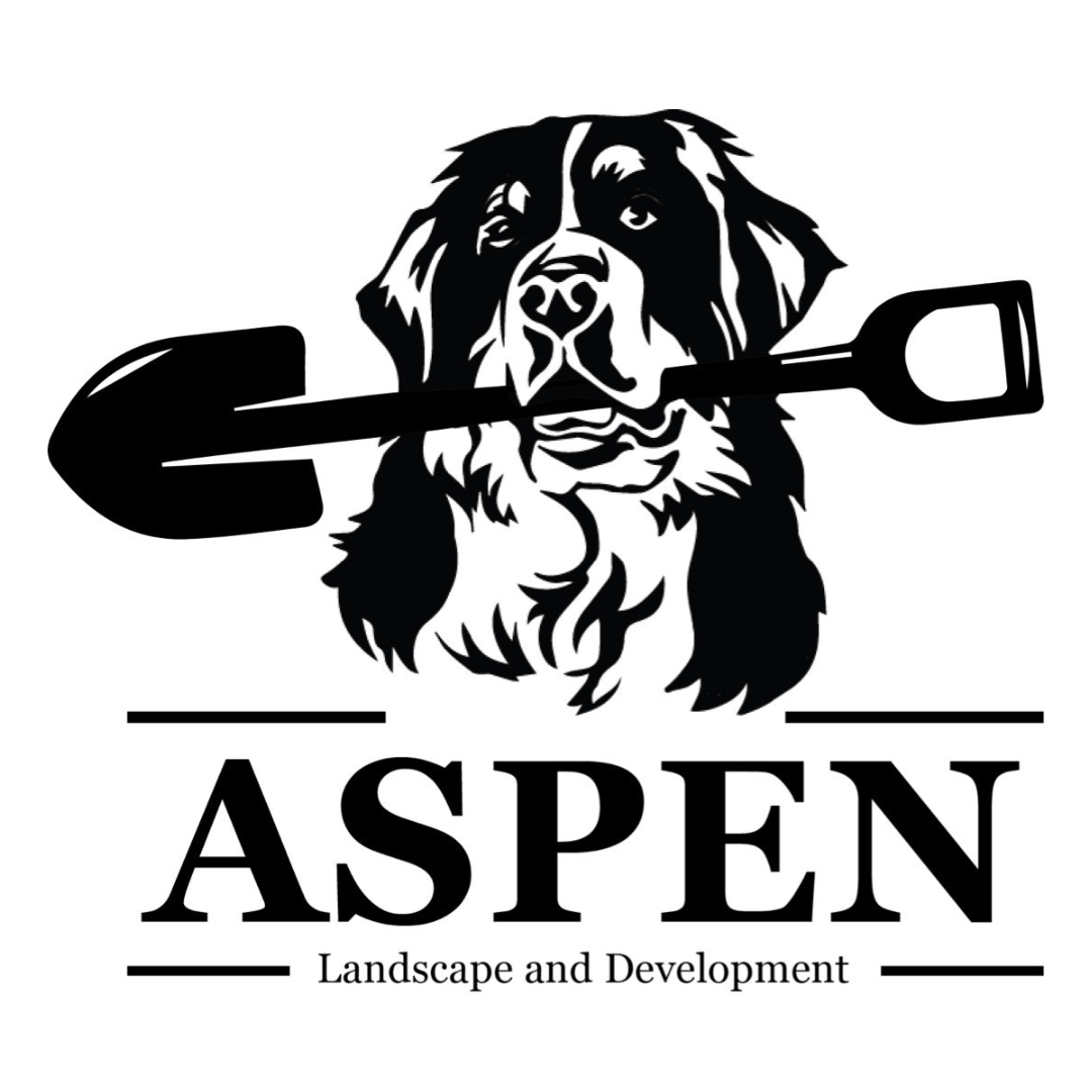 Aspen Landscape and Development